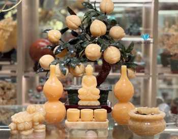 Cây Đào Ngọc Hoàng Long 12 Quả